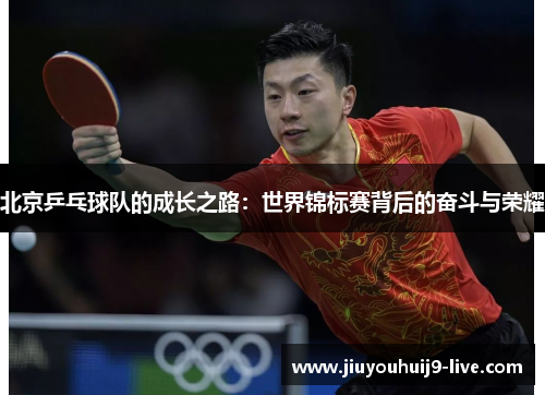 北京乒乓球队的成长之路：世界锦标赛背后的奋斗与荣耀